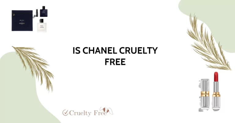 Is Chanel Cruelty-Free in 2023? A Comprehensive Exploration of Ethics and Ingredients