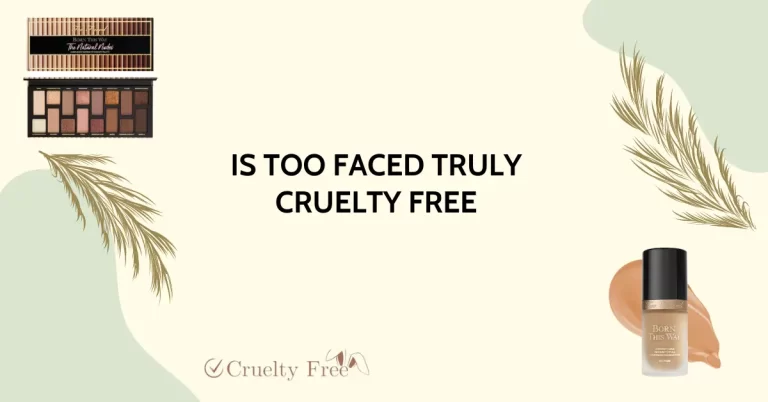 Is Too Faced Cruelty Free? Unveiling the Beauty Behind the Brand