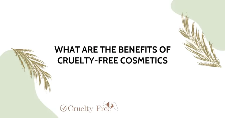 Discovering the Untapped Benefits of Cruelty-Free Cosmetics